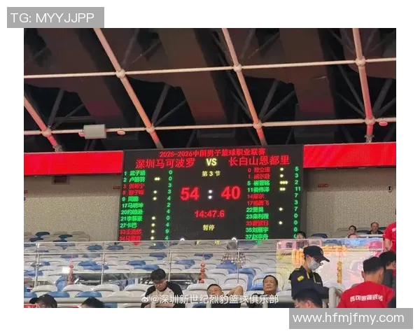 深圳篮球队状态飙升创历史新高引发球迷热议